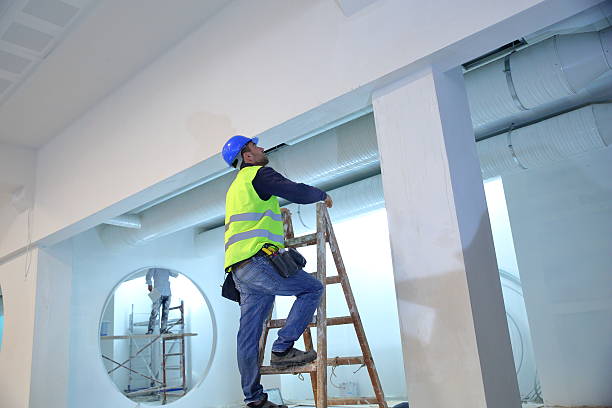 Best Forensic Mold Investigation  in Bartonvle, IL
